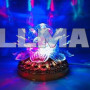 Светодиодная диско лампа Led full color rotating lamp 